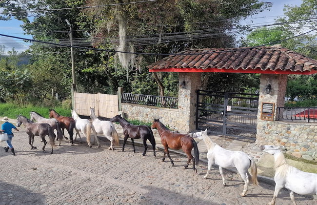 Casa Tien - Foto 64