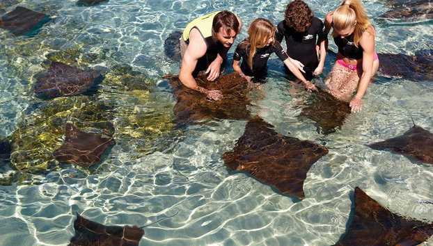 Discovery Cove - Foto 4