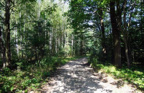 Siedlisko pod Kasztanem - Foto 42