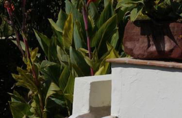 Monte D´Sancho - Foto 13