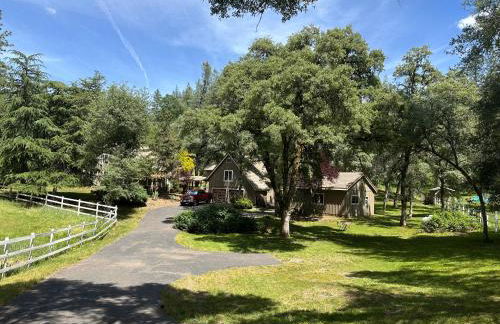 Gold Country Serenity! 45 Minutes to Powder! - Foto 6