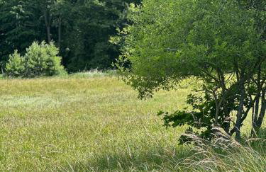 Apartament nad Brdą prywatny darmowy parking - Foto 17