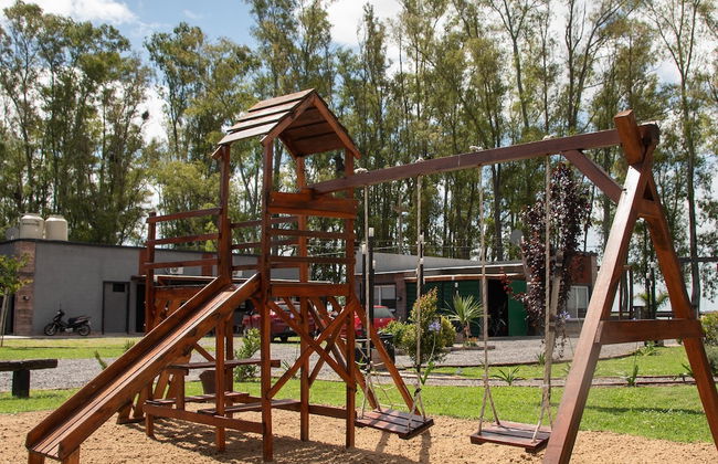 Olivos de Monte - Foto 53