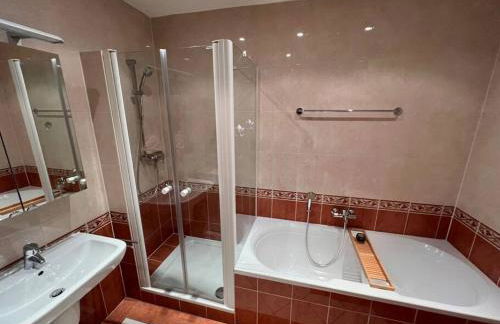 Penthouse - Panorama Suite - Hohegeiß - Foto 24