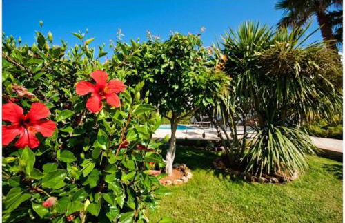 BINI CEL for 6 pax Heated Pool on request - Foto 6