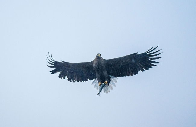 Lofoten Apartments - Photo 63