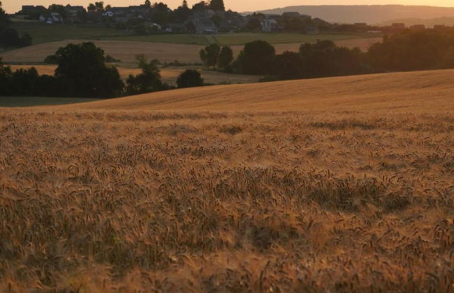 Grand Mill Stay in Anhee - Foto 33