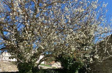 Casa: El Portalón de Valdivia - Foto 24