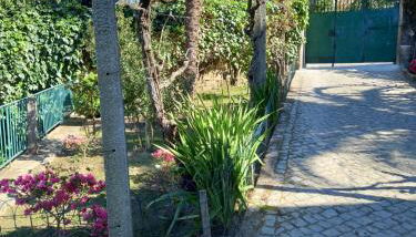 Quinta Casa Do Quintal - Foto 5