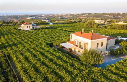 Cretan Vineyard Hill Villa 2 - Foto 6