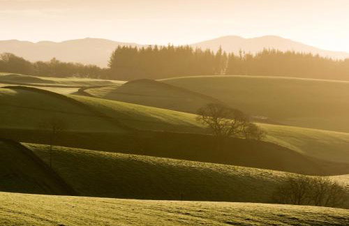 Stables House - Foto 35