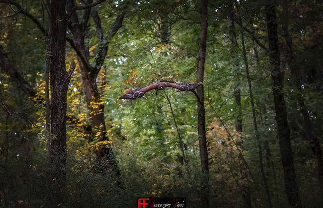 Podere Le Rote Private Farmhouse - Foto 23