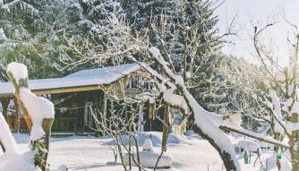 Blickinsfreie - Cabin - Foto 2, Garden