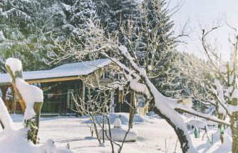 Blickinsfreie - Cabin - Foto 2