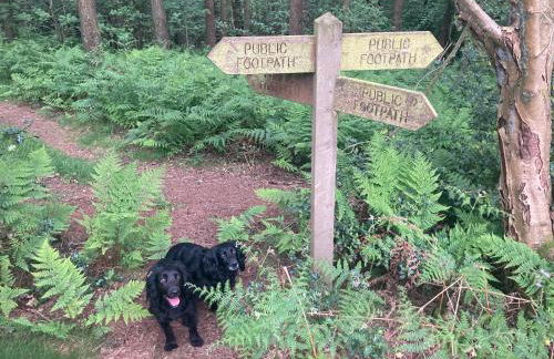 Bank Top Barn King Bedroom Self Catering 2 Guests - Foto 13