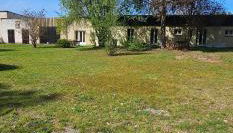 Le haras de gus et lulu - Photo 3