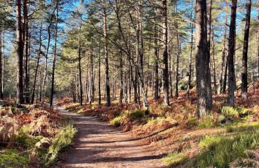 Le repaire de Barbizon - Foto 14