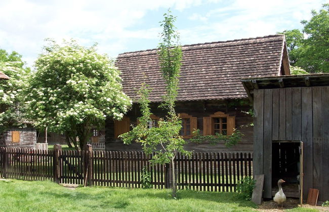 Ethno Village Stara Lonja - Foto 1