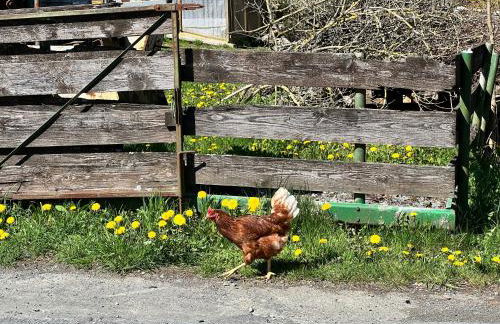 Lighthouse - Foto 11