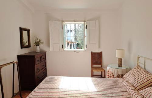 Monte Horta da Velhinha - Foto 19