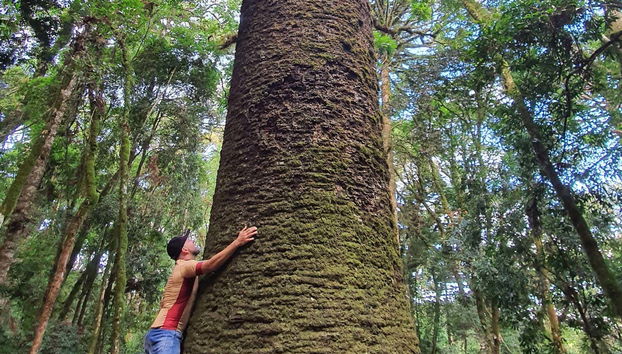 Nove Colônias Bike Tour + Picnic at Casa Sander - Foto 3