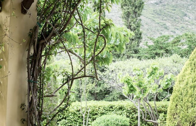 Beautiful mini eco farmhouse - Photo 49