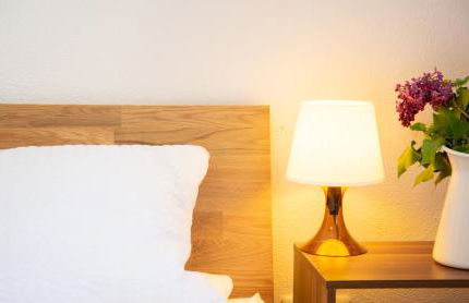 Ferienwohnungen Windischeschenbach by HausGruenerBaum - Photo 30