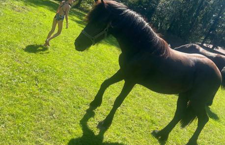 Domek nad Wkrą - Foto 41