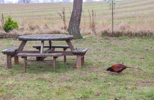 Woodpecker Lodge - Foto 27