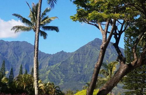 Puu Poa Ocean Bluff Condo, Incredible Views, Walk to Beaches, Pool & Tennis - Foto 31