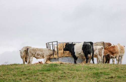 Overlea Coach House - Foto 24