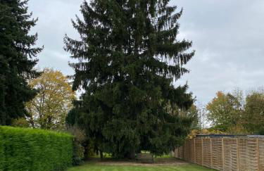 Ferienhaus Rur - Foto 29