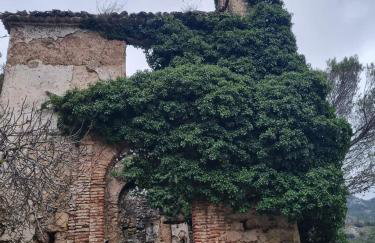 Los Llanos del Campo - Foto 51