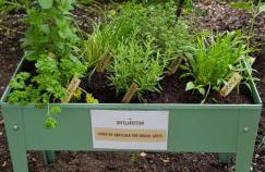 Ferienwohnung Hufelandstern bis 7 Personen - mit E-Ladesäule! - Foto 36