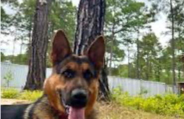 Casica de Hellín - Foto 25