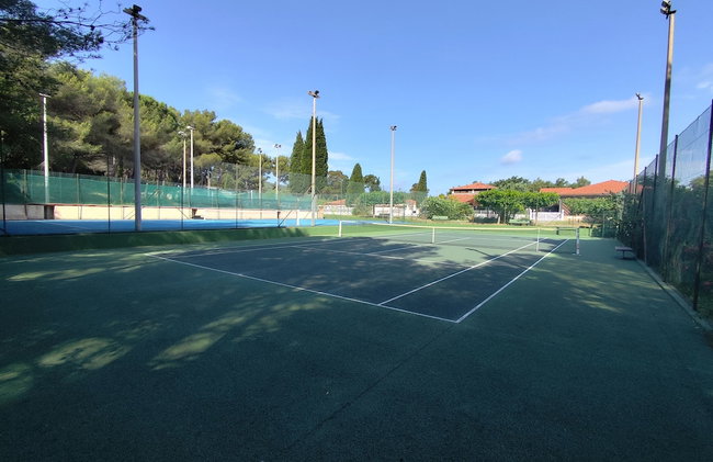 La Manne - Bormes les Mimosas - Foto 30