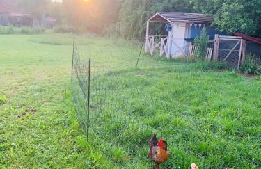 Haus am See - Foto 47