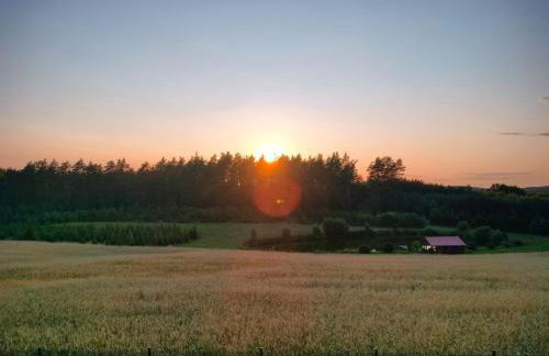 Agroturystyka u Kasi - Foto 24