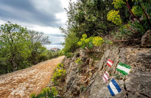 Casa Porozina - Cozy Apartments & Rooms - Paradise Beach 300m - Foto 35