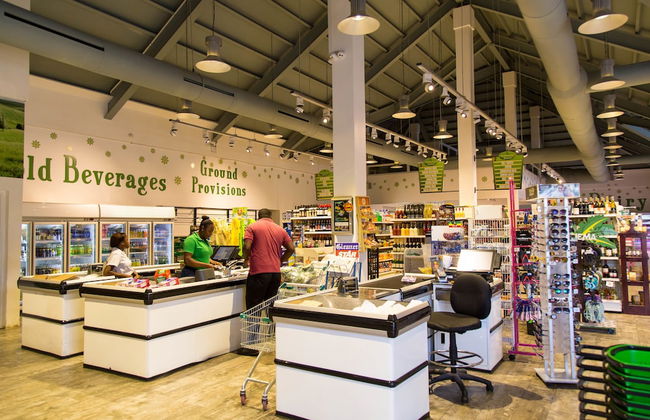 Ocho Rios Villas at Coolshade II - Photo 31