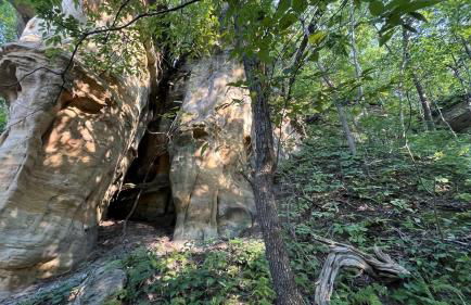 Bosco Bluff Cottage - Foto 45