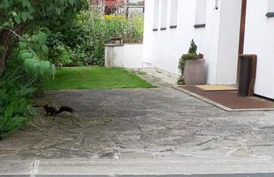 Appartamento Riscone Nuvola di Plan - Foto 4