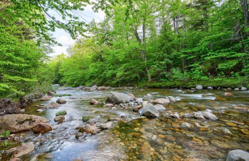 Steps to the Ellis River - Luxe, Hot Tub, Game Room - Foto 43