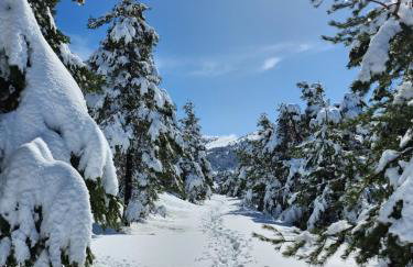 Gréolières Les Neiges - Foto 53