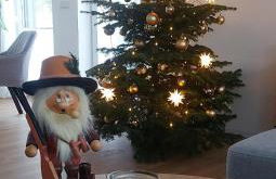 Ferienhaus Landbrücke - Foto 29