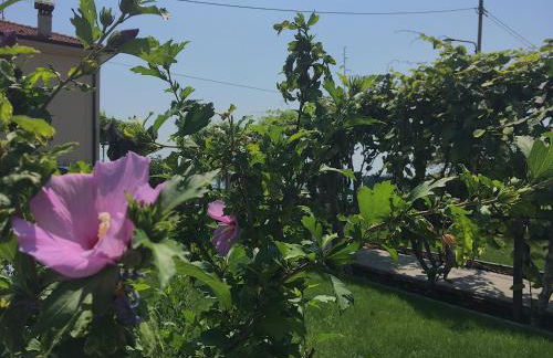 Casa con ampio terrazzo, vista lago e giardino - Foto 31
