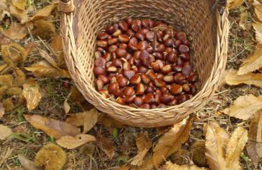 Agriturismo I Monti di Salecchio - Foto 32