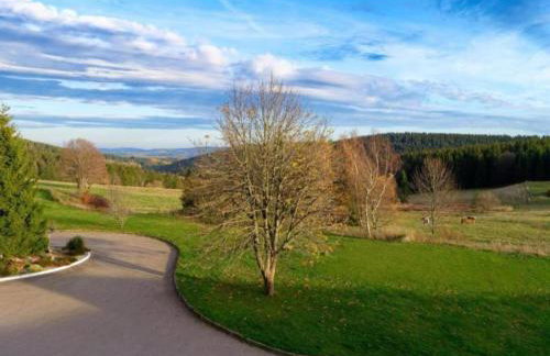 Ferienhaus in Altenfeld Thuringen mit Garten - Foto 56