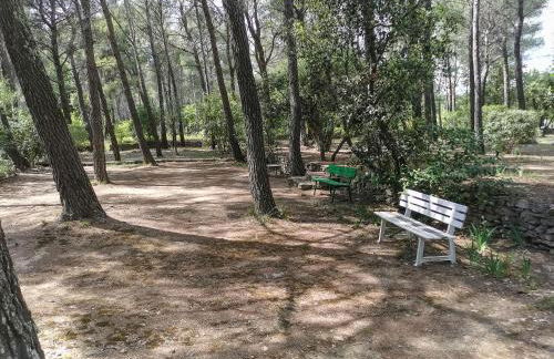 Maisonnette en pleine nature - Foto 10