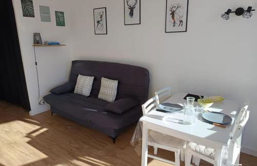 Cosy studio 25 m2 orienté sud entièrement rénové - Foto 1